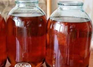 3 βάζα με χειροποίητο αρωματικό κονιάκ και αποξηραμένα φρούτα δίπλα.