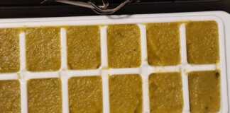 Μια σειρά από ομοιόμορφα τετράγωνα σπιτικού ζωμού λαχανικών πάνω σε λαδόκολλα, με φρέσκα βότανα και λαχανικά να τα περιβάλλουν.