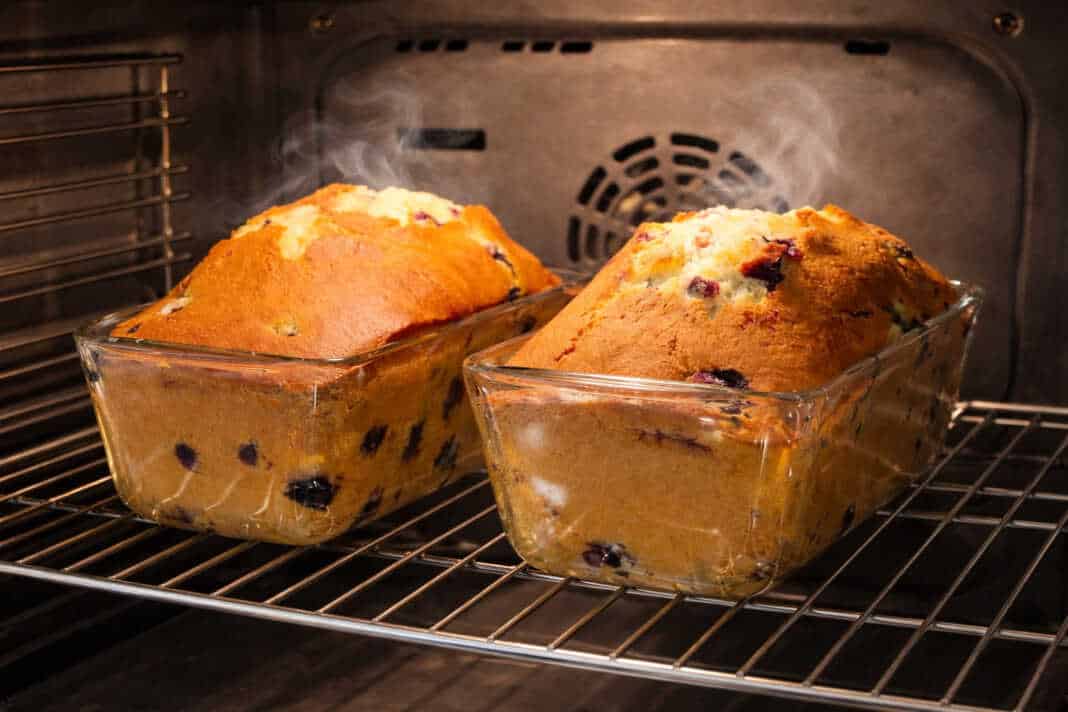 Δύο μεγάλα αχνιστά κέικ με σταφίδες, ροδισμένα στην επιφάνεια και πασπαλισμένα με λίγη ζάχαρη άχνη