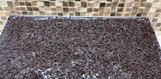 Λαχταριστή Σοκολατόπιτα νηστίσιμη με παχύρρευστο γλάσο σοκολάτας και πασπαλισμένη με μαύρη τρούφα κουβερτούρας, κομμένη σε τετράγωνα κομμάτια