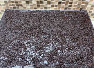 Λαχταριστή Σοκολατόπιτα νηστίσιμη με παχύρρευστο γλάσο σοκολάτας και πασπαλισμένη με μαύρη τρούφα κουβερτούρας, κομμένη σε τετράγωνα κομμάτια