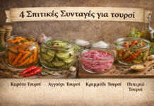 4 μπολακια Σπιτικού Τουρσί — Αγγούρι, Καρότο, Κρεμμύδι και Τσίλι Αντιγραφή