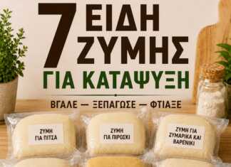 7 ΕΙΔΗ ΖΥΜΗΣ ΓΙΑ ΚΑΤΑΨΥΞΗ