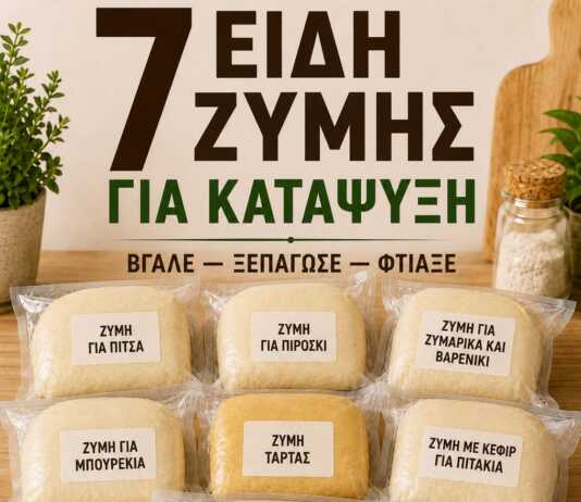7 ΕΙΔΗ ΖΥΜΗΣ ΓΙΑ ΚΑΤΑΨΥΞΗ